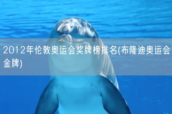 2012年伦敦奥运会奖牌榜排名(布隆迪奥运会金牌)(图1) 2012年伦敦奥运会奖牌榜排名(布隆迪奥运会金牌)(图1)