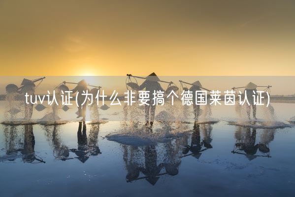 tuv认证(为什么非要搞个德国莱茵认证)(图1) tuv认证(为什么非要搞个德国莱茵认证)(图1)
