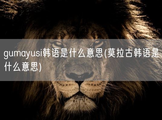gumayusi韩语是什么意思(莫拉古韩语是什么意思)(图1)