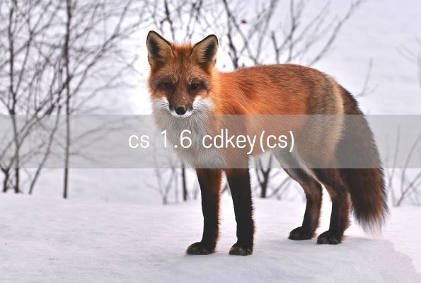cs 1.6 cdkey(cs)(图1) cs 1.6 cdkey(cs)(图1)