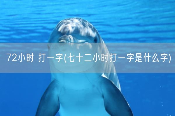 72小时 打一字(七十二小时打一字是什么字)(图1)