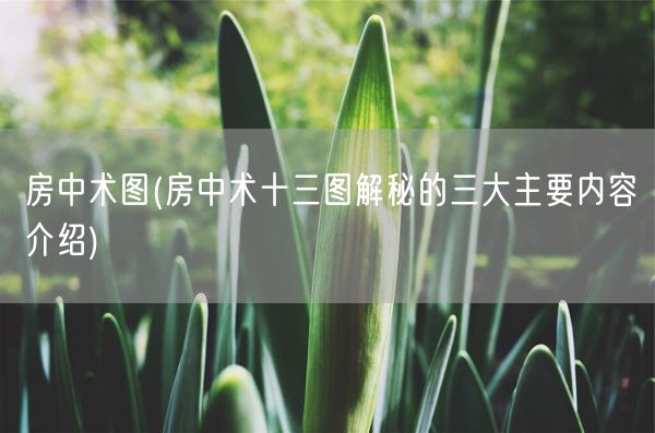 房中术图(房中术十三图解秘的三大主要内容介绍)(图1) 房中术图(房中术十三图解秘的三大主要内容介绍)(图1)