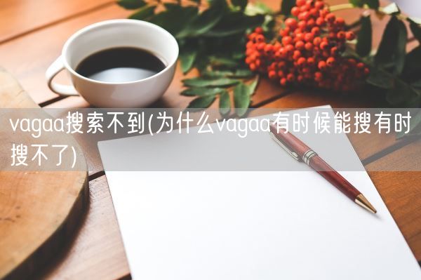 vagaa搜索不到(为什么vagaa有时候能搜有时搜不了)(图1)