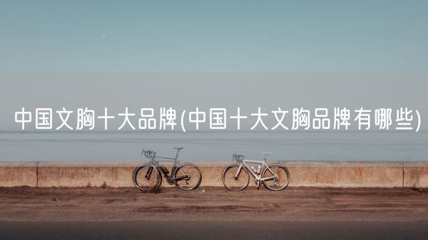 中国文胸十大品牌(中国十大文胸品牌有哪些)(图1) 中国文胸十大品牌(中国十大文胸品牌有哪些)(图1)