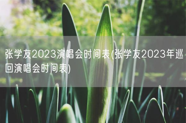 张学友2023演唱会时间表(张学友2023年巡回演唱会时间表)(图1)