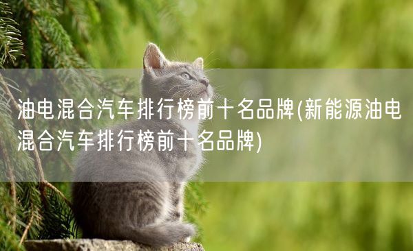 油电混合汽车排行榜前十名品牌(新能源油电混合汽车排行榜前十名品牌)(图1) 油电混合汽车排行榜前十名品牌(新能源油电混合汽车排行榜前十名品牌)(图1)