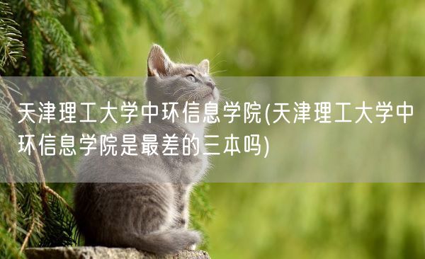 天津理工大学中环信息学院(天津理工大学中环信息学院是最差的三本吗)(图1) 天津理工大学中环信息学院(天津理工大学中环信息学院是最差的三本吗)(图1)