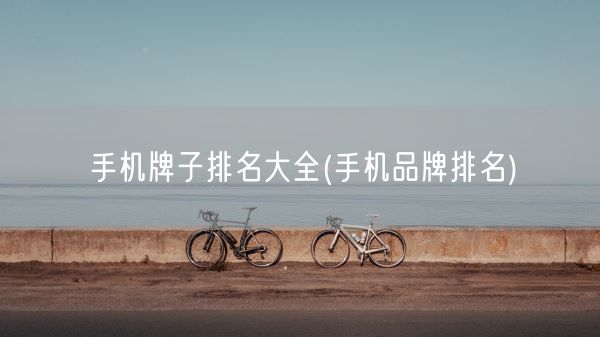 手机牌子排名大全(手机品牌排名)(图1)