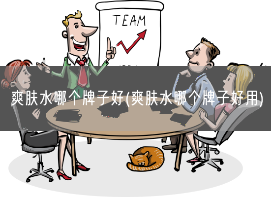 爽肤水哪个牌子好(爽肤水哪个牌子好用)(图1)