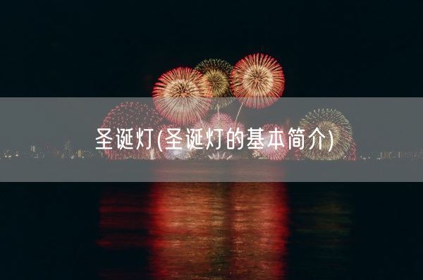圣诞灯(圣诞灯的基本简介)(图1) 圣诞灯(圣诞灯的基本简介)(图1)