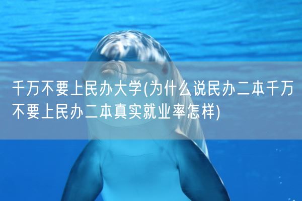 千万不要上民办大学(为什么说民办二本千万不要上民办二本真实就业率怎样)(图1)
