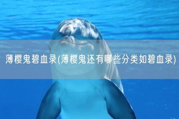 薄樱鬼碧血录(薄樱鬼还有哪些分类如碧血录)(图1) 薄樱鬼碧血录(薄樱鬼还有哪些分类如碧血录)(图1)