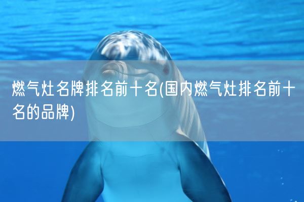 燃气灶名牌排名前十名(国内燃气灶排名前十