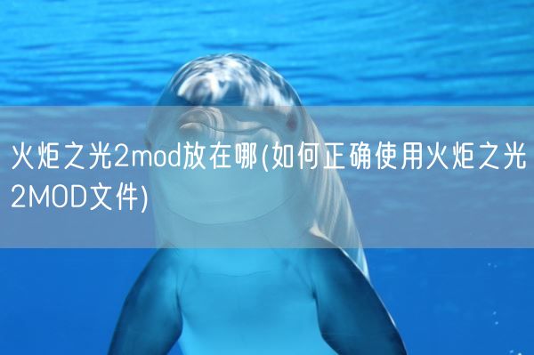 火炬之光2mod放在哪(如何正确使用火炬之光2MOD文件)(图1)