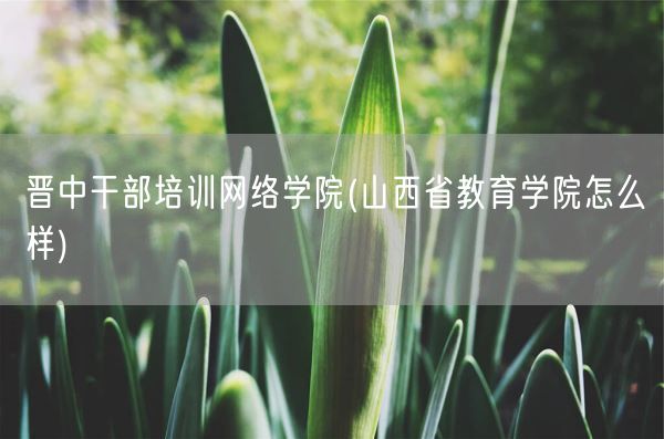 晋中干部培训网络学院(山西省教育学院怎么